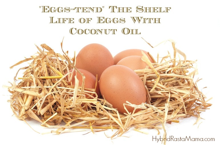 How To Extend The Shelf Life of Eggs With Coconut Oil by Hybrid Rasta Mama