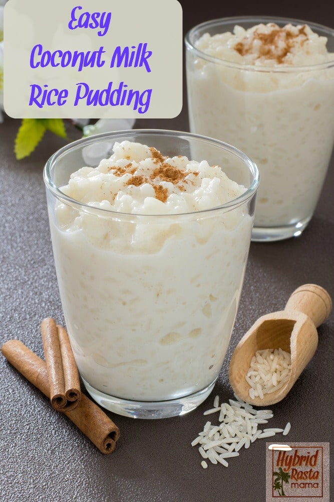 Easy Coconut Milk Rice Pudding by Hybrid Rasta Mama
