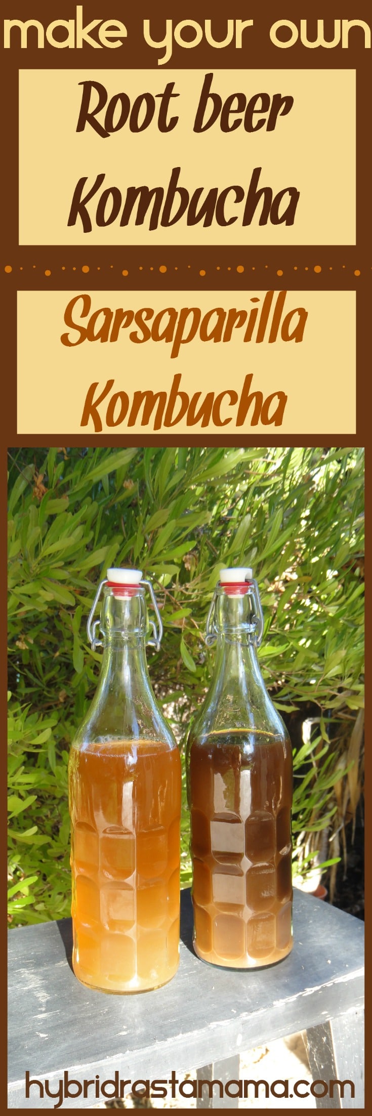 Sarsaparilla Kombucha and Root Beer Kombucha Recipe by Hybrid Rasta Mama